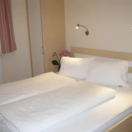 Ahorn פינקנברג