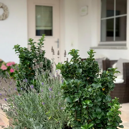Ahorn Apartament